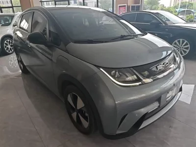 BYD dolphin