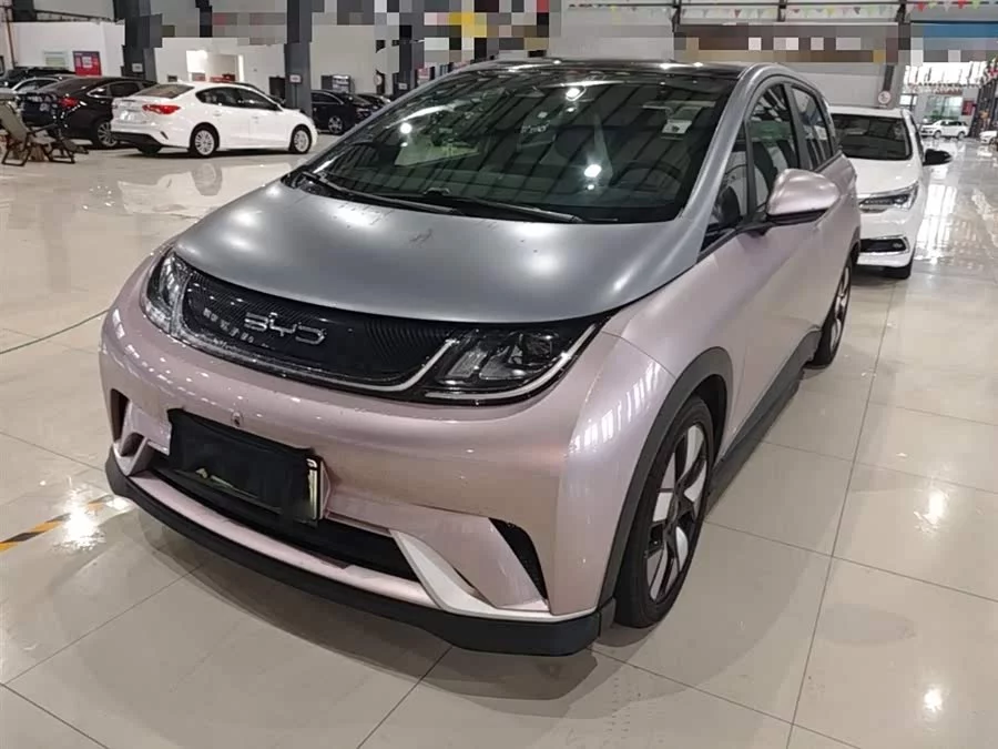 BYD Dolphin
