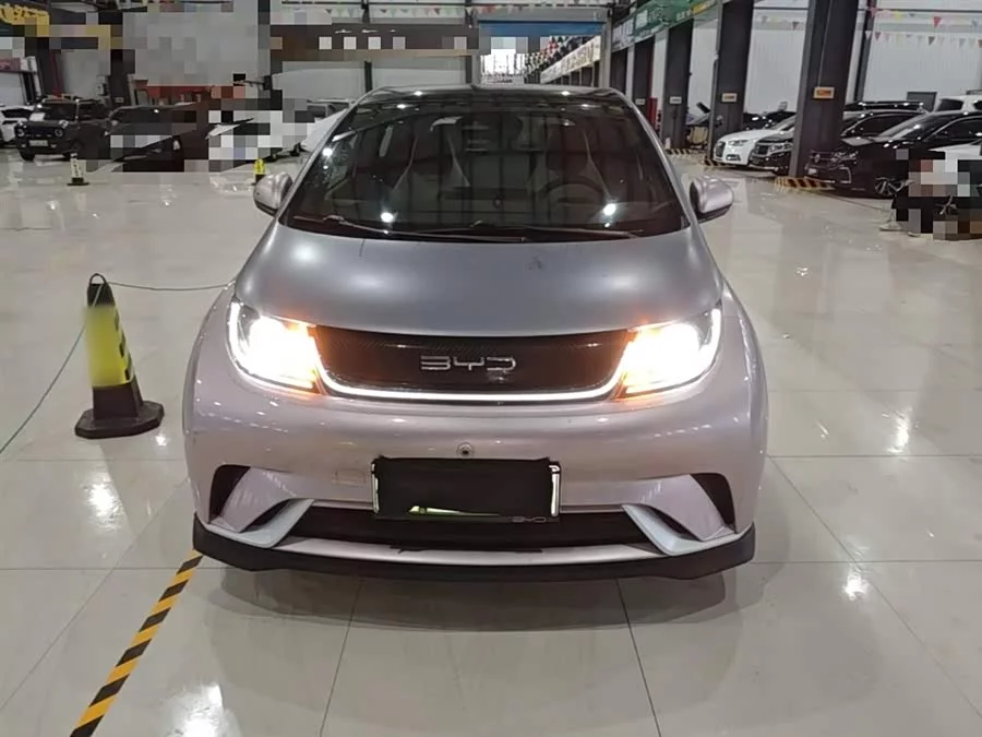 BYD Dolphin