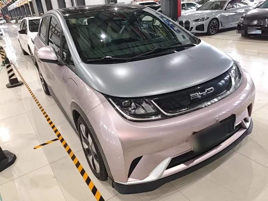 BYD Dolphin