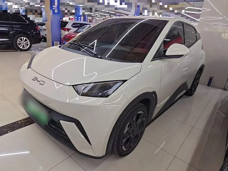 BYD Seagull
