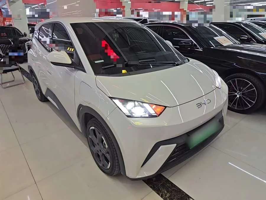 BYD Seagull