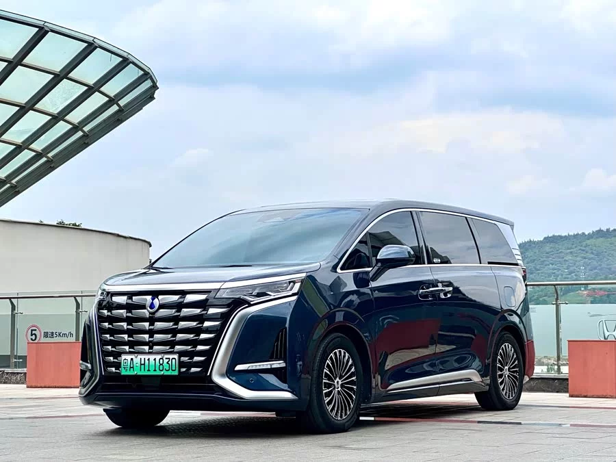 BYD D9