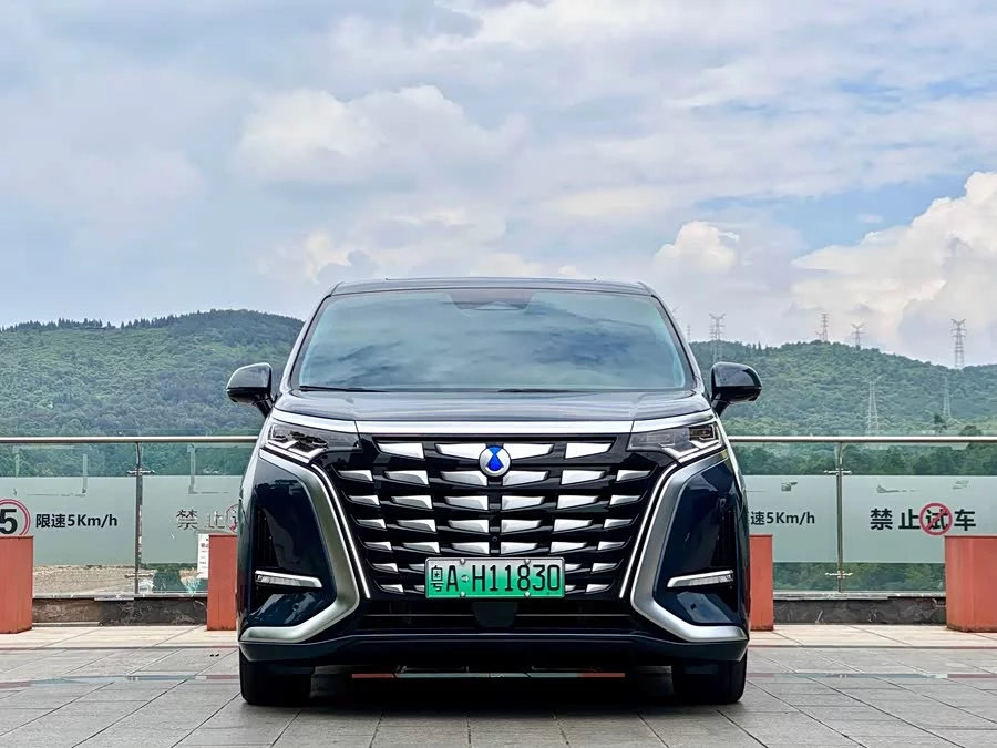 BYD D9