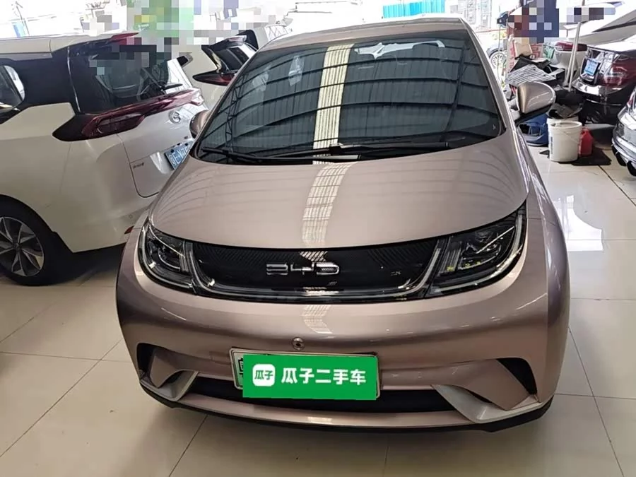 BYD Dolphin