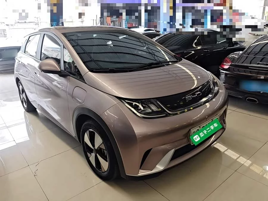 BYD Dolphin