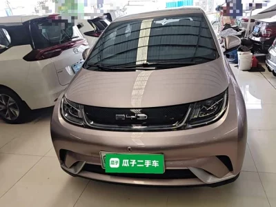 BYD dolphin
