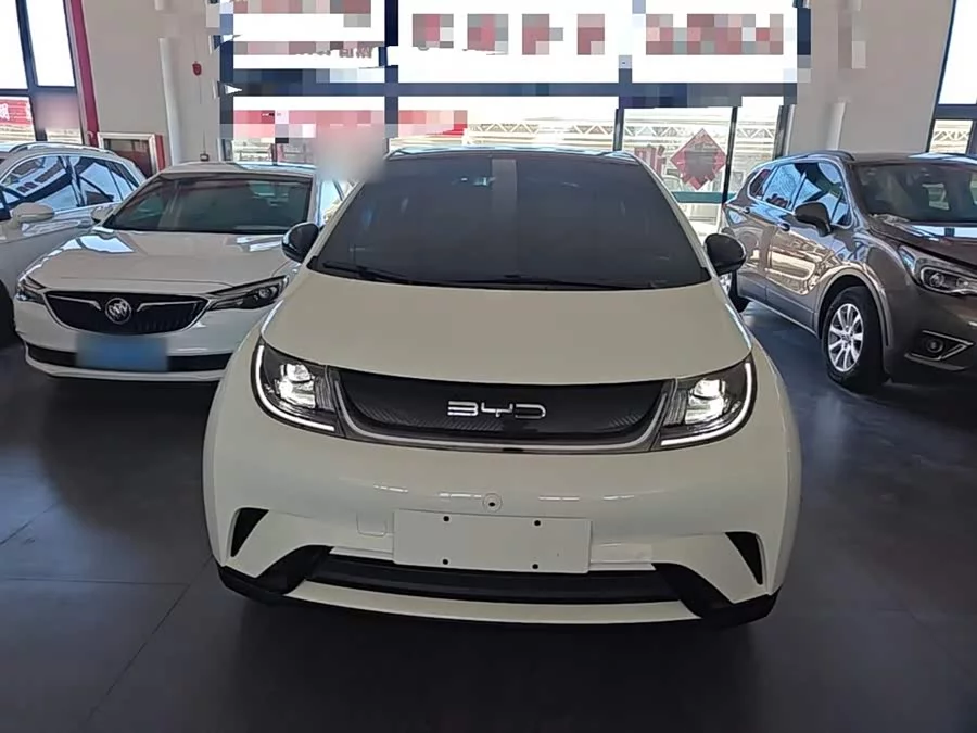 BYD Dolphin
