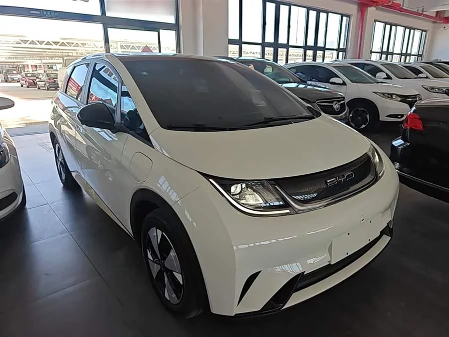 BYD Dolphin