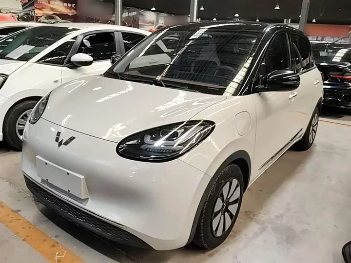 Wuling Bingo