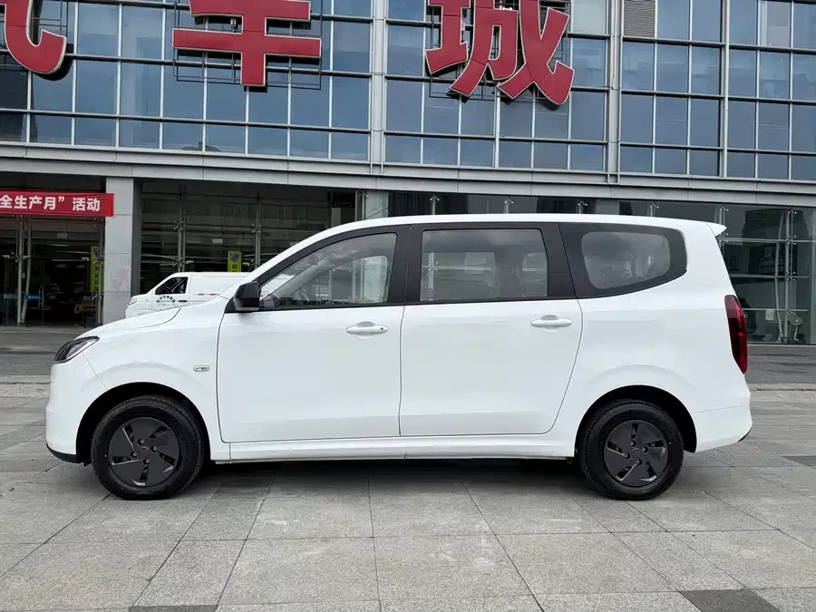 Wuling Hongguang New Energy