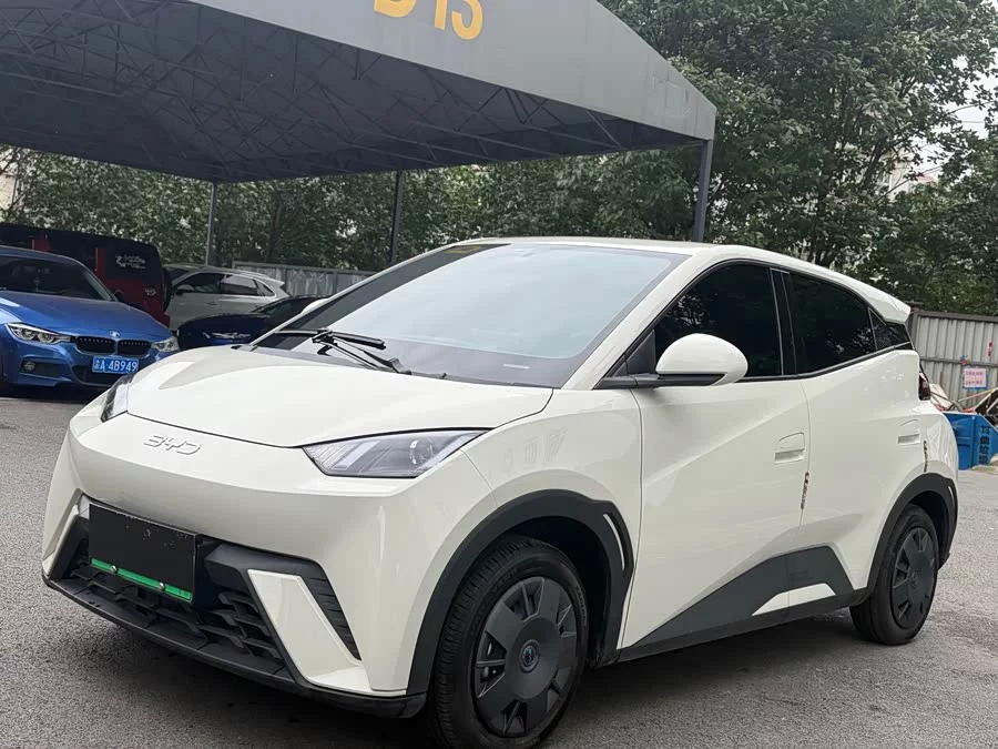 BYD Seagull