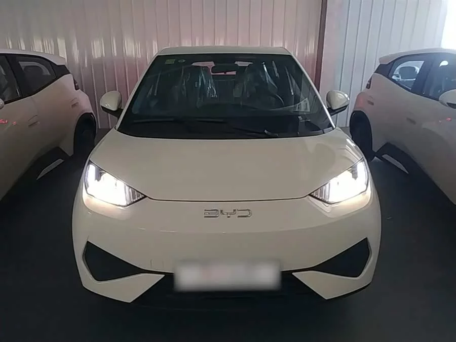 BYD Seagull