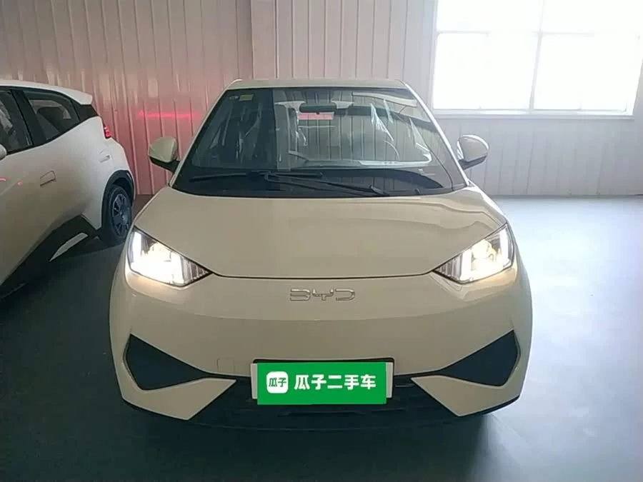 BYD Seagull