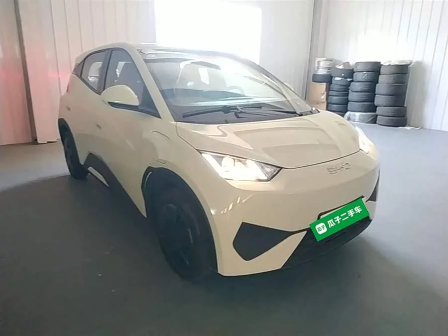 BYD Seagull