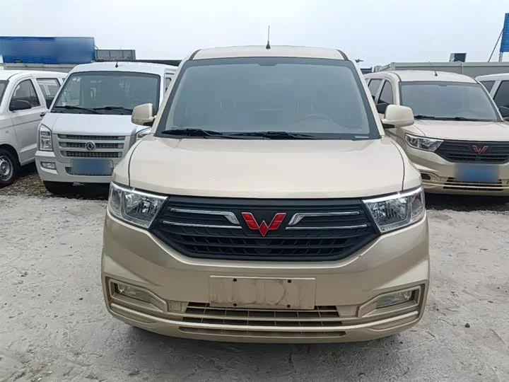 Wuling Hongguang V