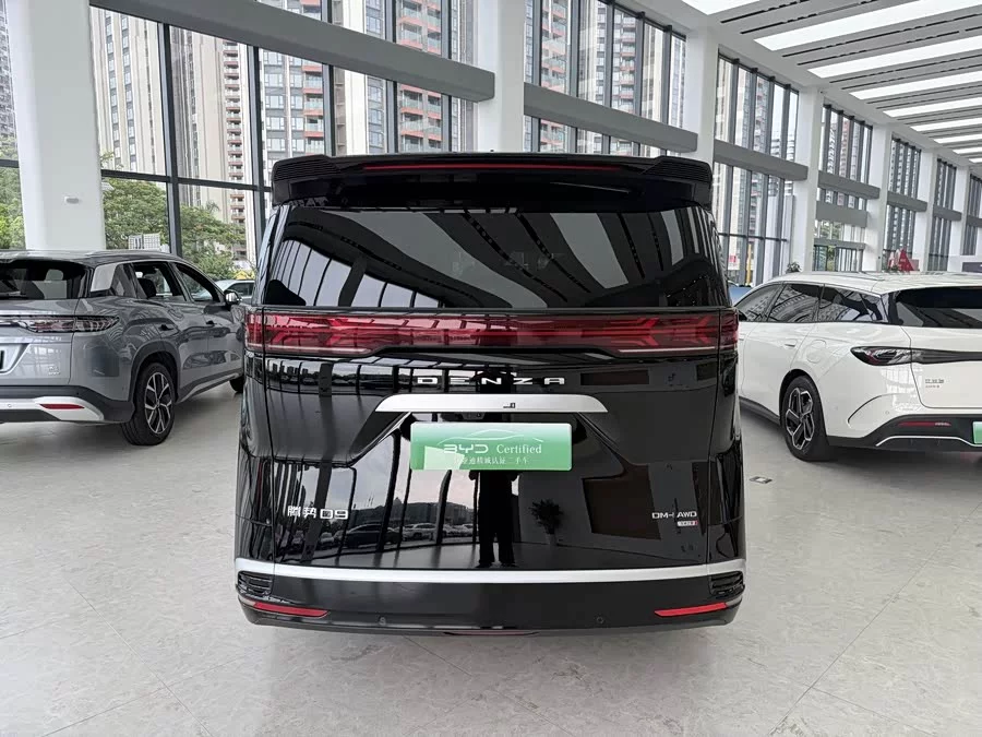 BYD D9