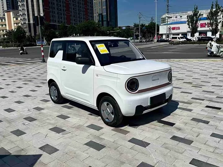 Geely panda