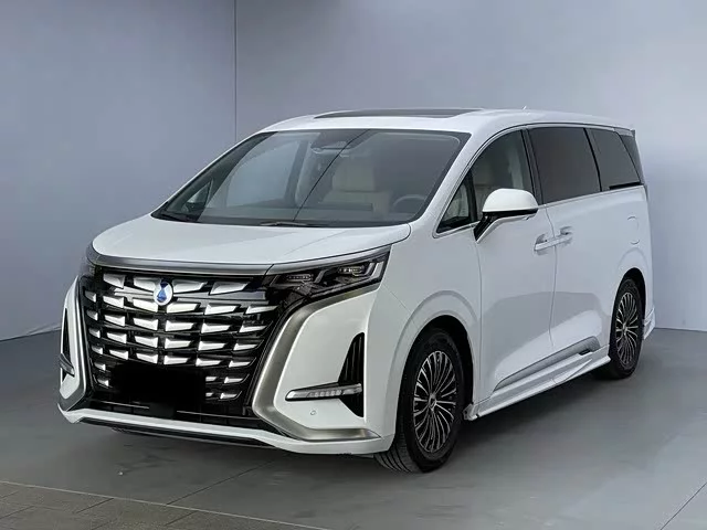 Denza D9