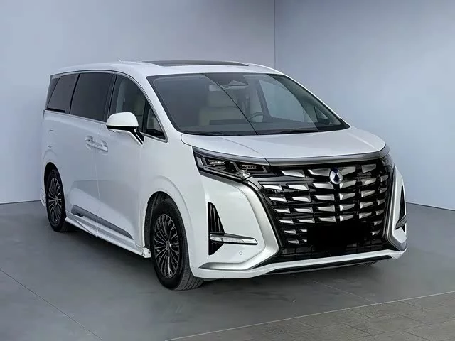 Denza D9