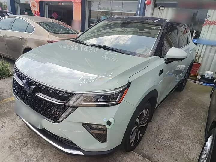 Wuling Star