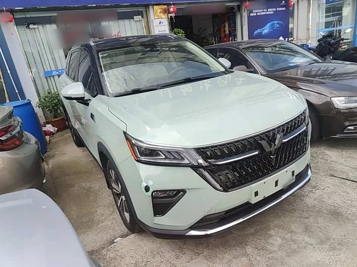 Wuling Star