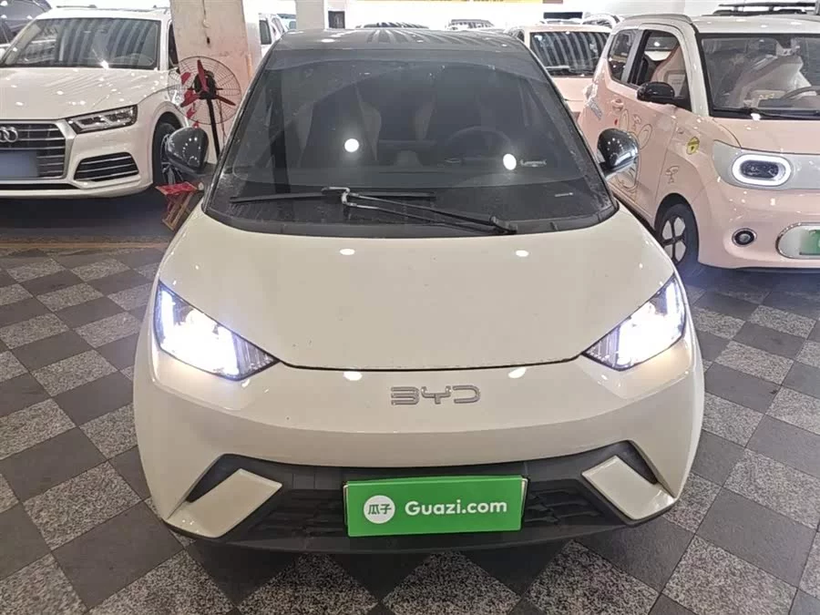 BYD Seagull