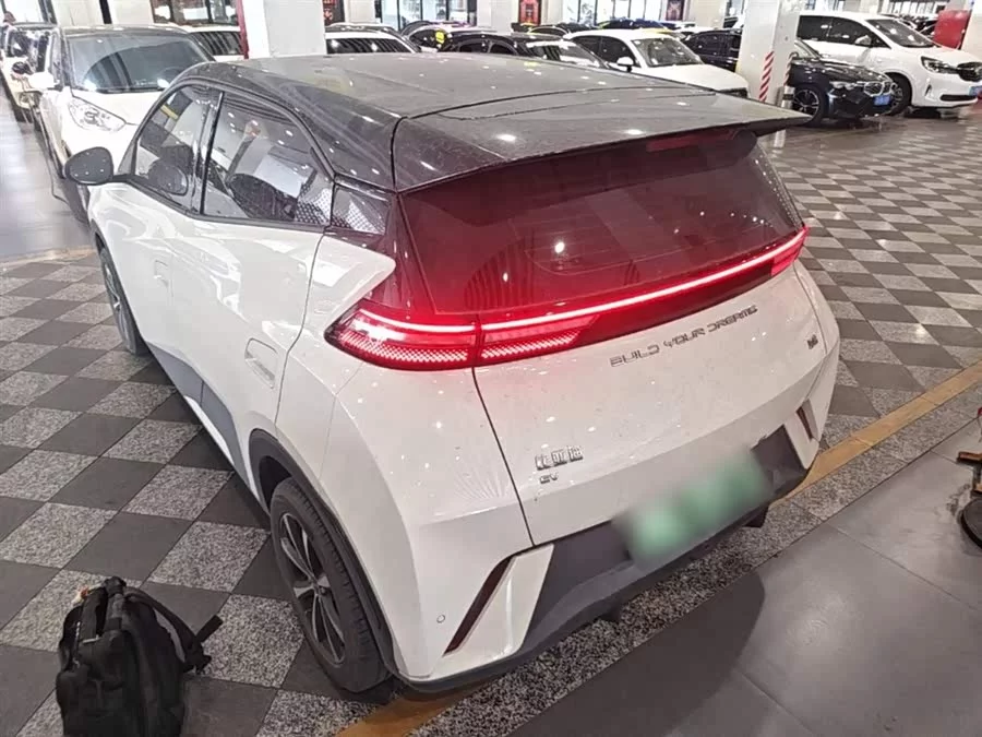 BYD Seagull