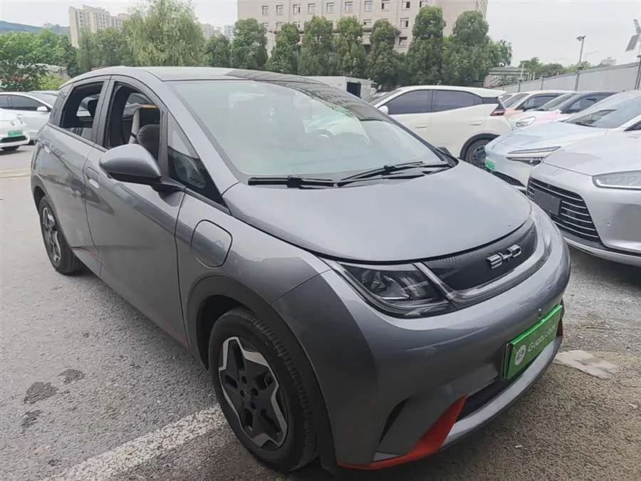 BYD Dolphin