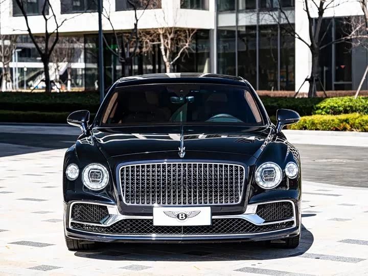 Bentley galloping