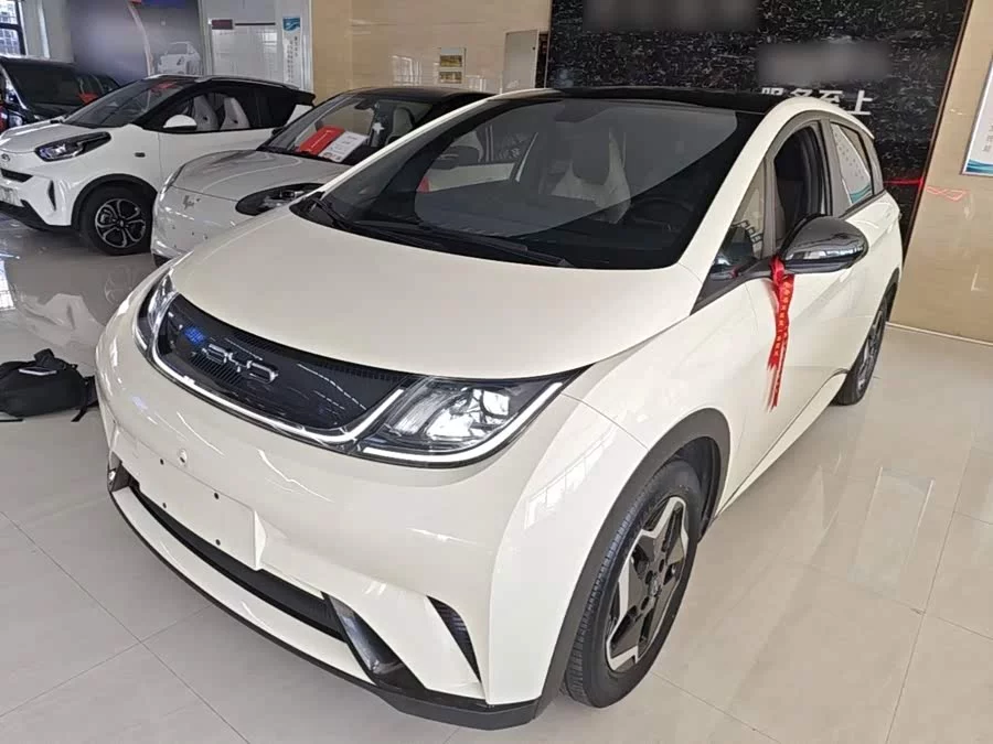BYD Dolphin