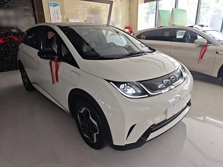 BYD Dolphin