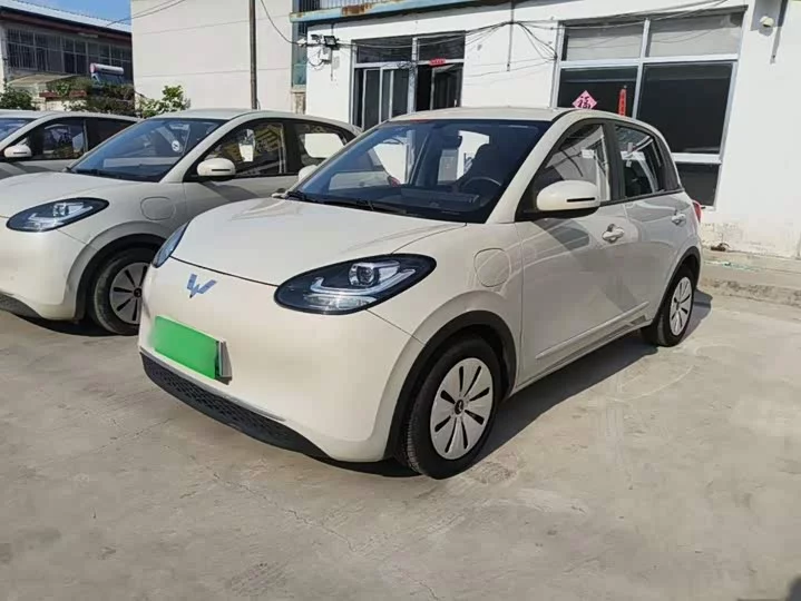 Wuling Bingo