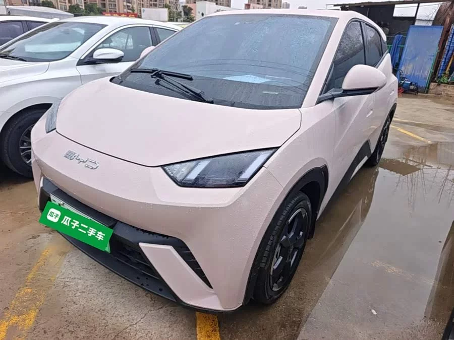 BYD Seagull