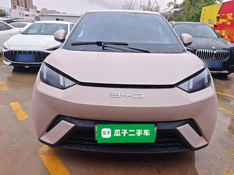 BYD Seagull