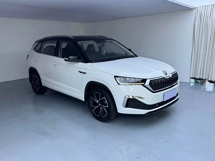 Skoda Comek