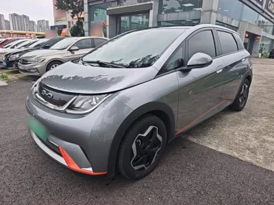 BYD dolphin