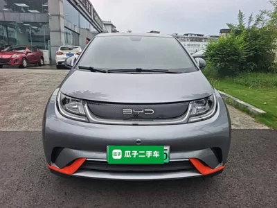 BYD dolphin