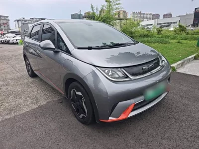 BYD dolphin