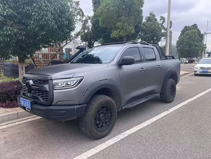 Great Wall gun