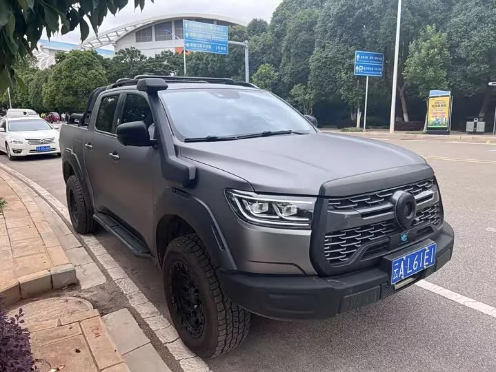Great Wall gun