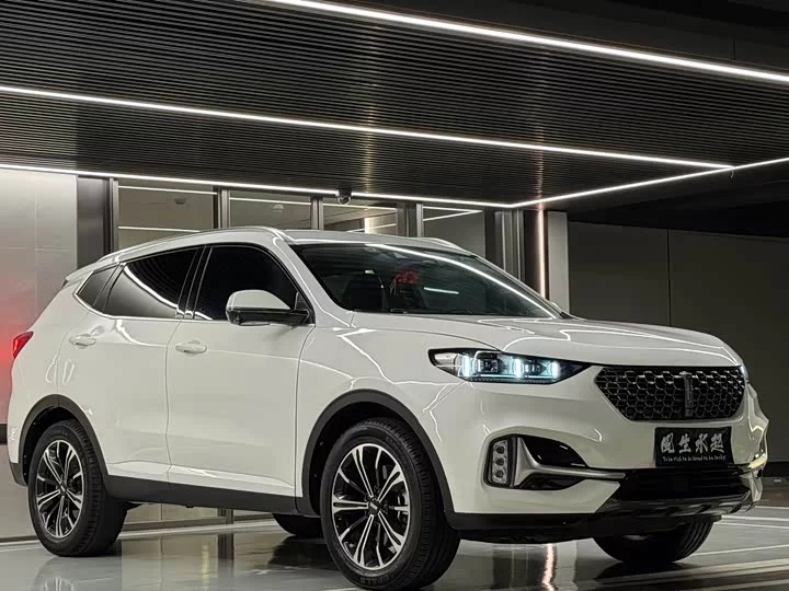 Wey VV6