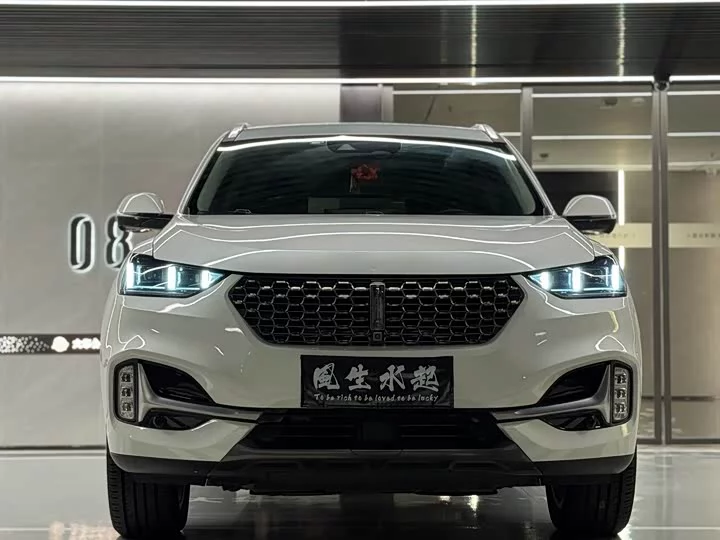 Wey VV6