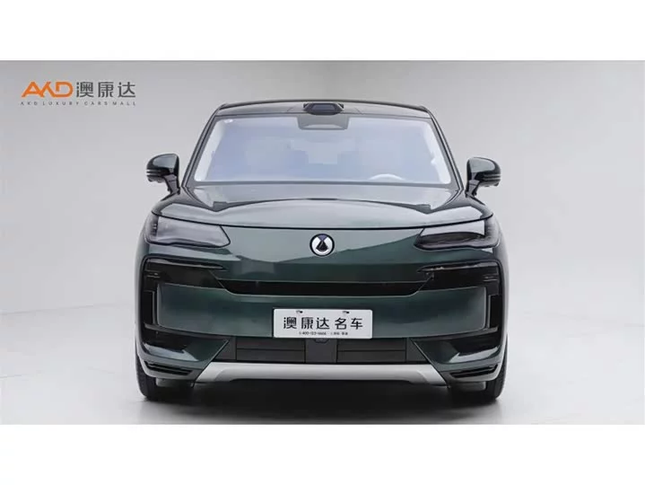 Denza N9