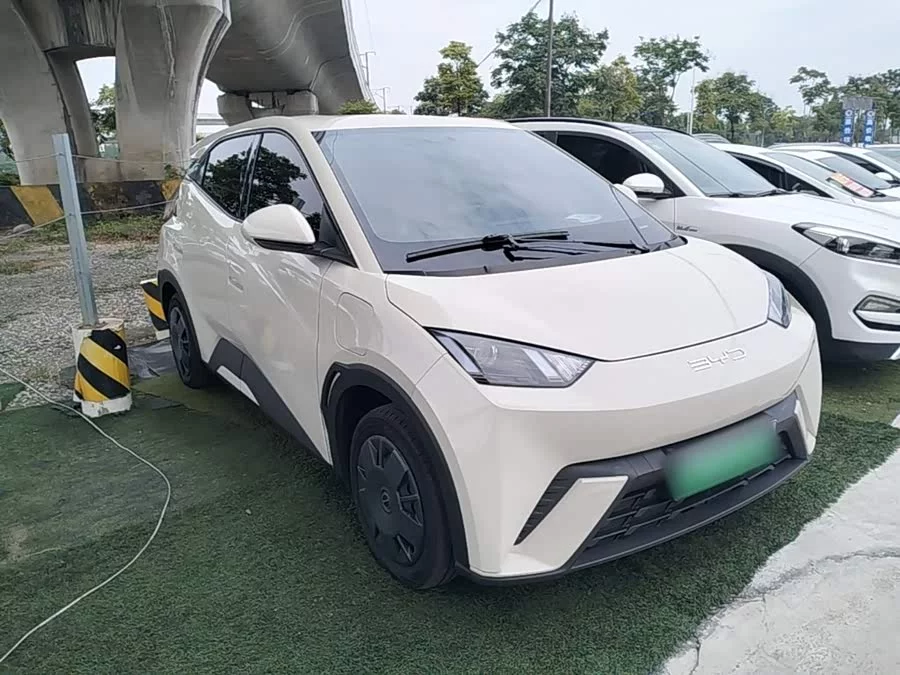 BYD Seagull