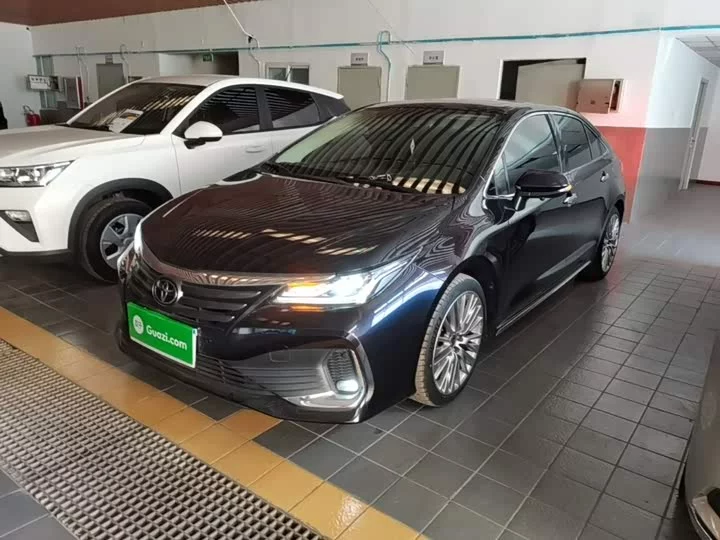Toyota Asiatic lion
