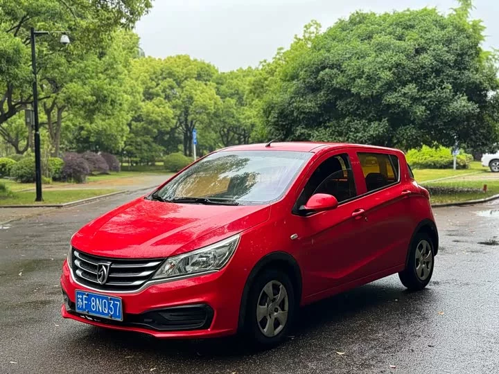 Baojun 310