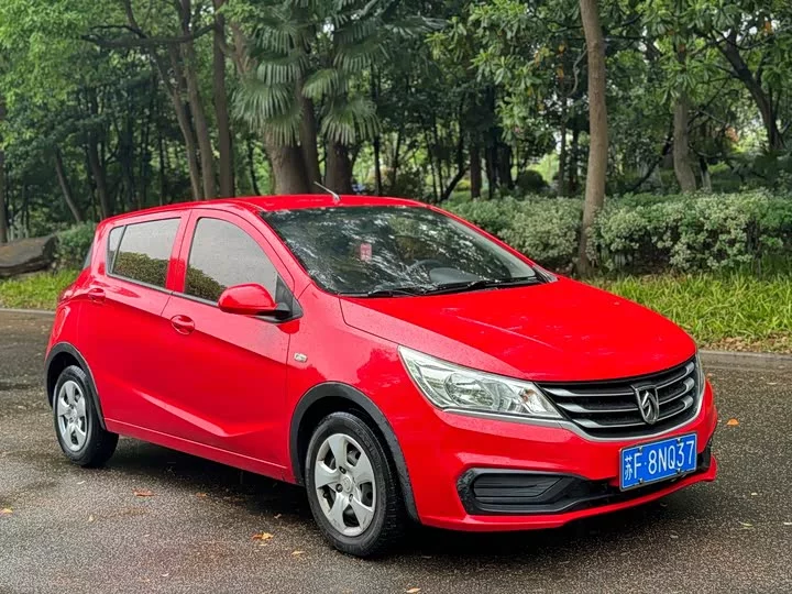 Baojun 310