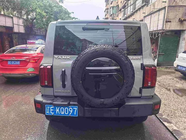 tank 300