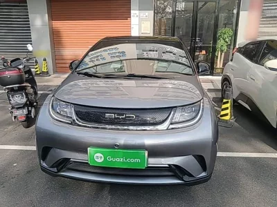 BYD dolphin